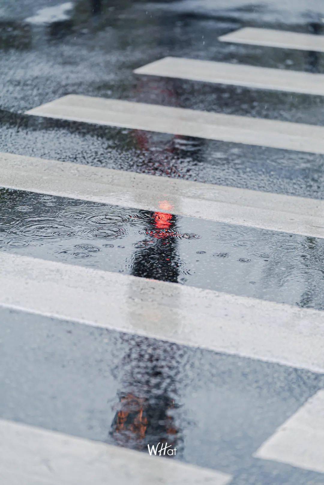 下雨天,看武汉进入平行世界