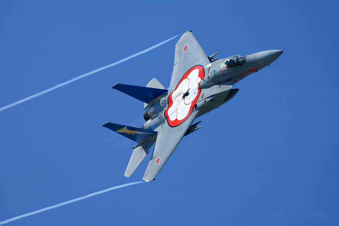 鹰眼锐利f15ex攻击鹰雷达项目负责人米歇尔斯蒂琴斯基女生访谈下