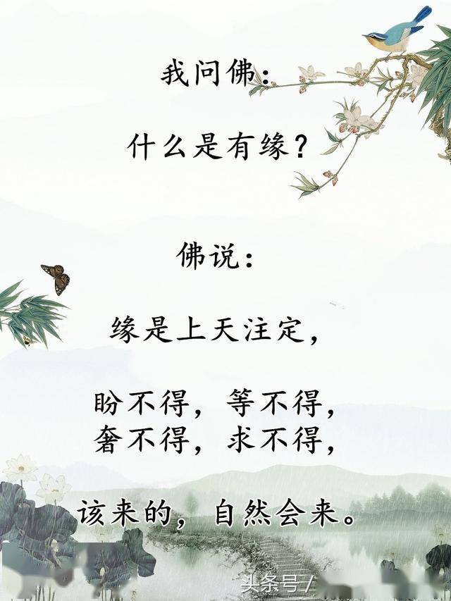 聚散皆是缘曲谱_聚散皆是缘图片(3)