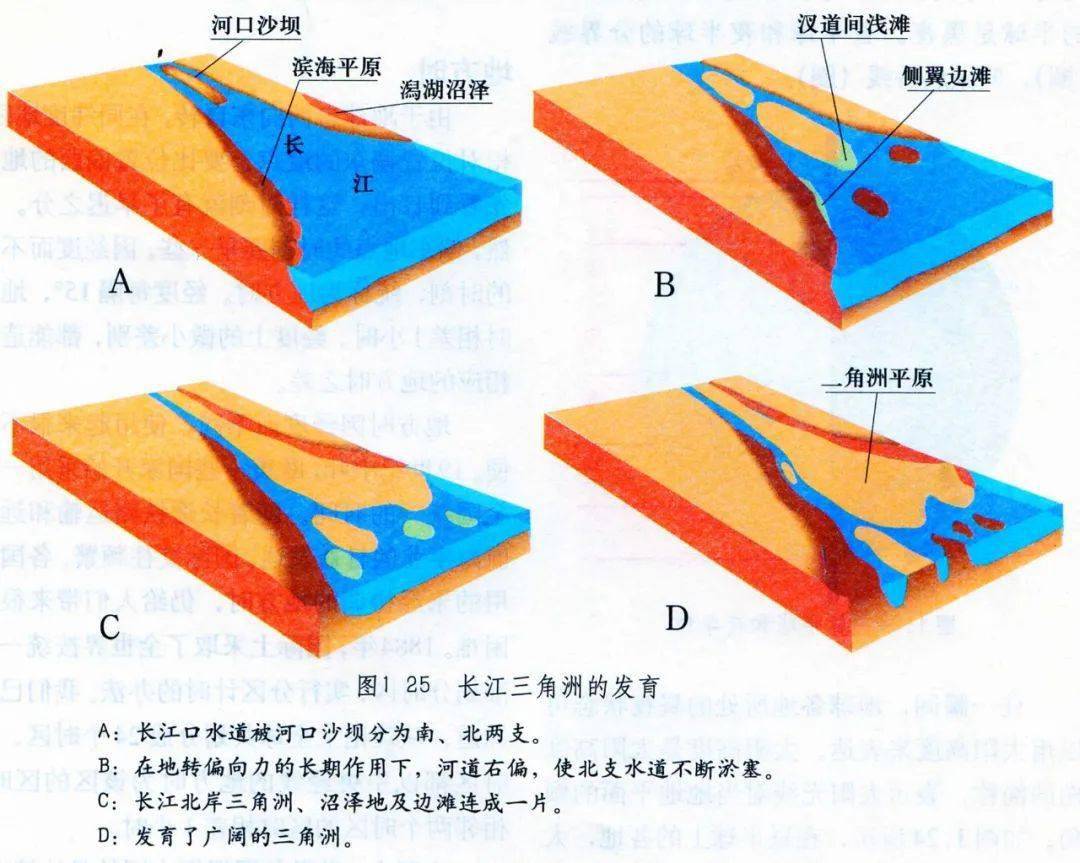 泥沙沉积形成冲积平原,江心洲,地上河,在河流的入海处形成三角洲