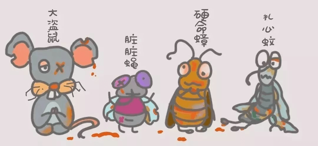 爱国卫生月科学开展爱国卫生运动一起除四害