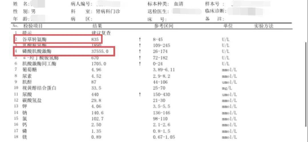 抽血怀孕检查单图片图片