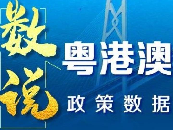 数说粤港澳大湾区政策数据分析报告