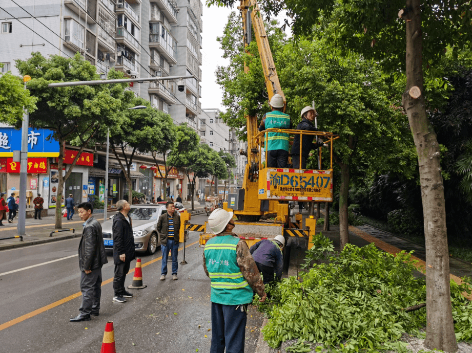 大足区园林管理所党支部我为群众办实事修剪行道树解民忧