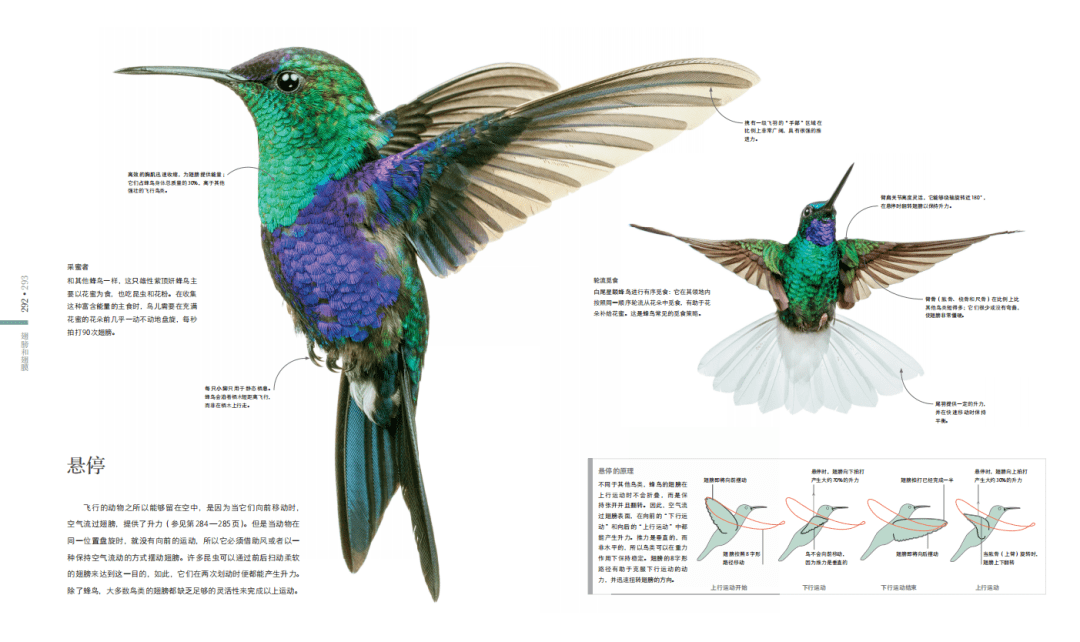 《dk图解动物王国的奥秘》不仅介绍了216种动物的科普知识,更巧妙融合