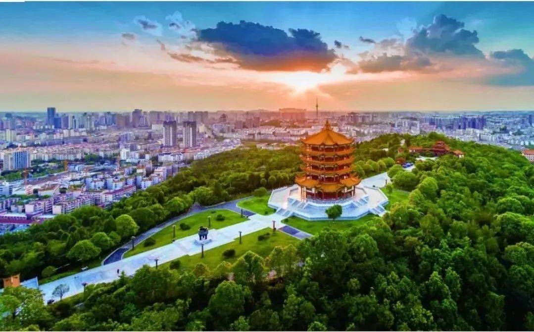 常州人均绿地面积_常州绿地香颂户型图