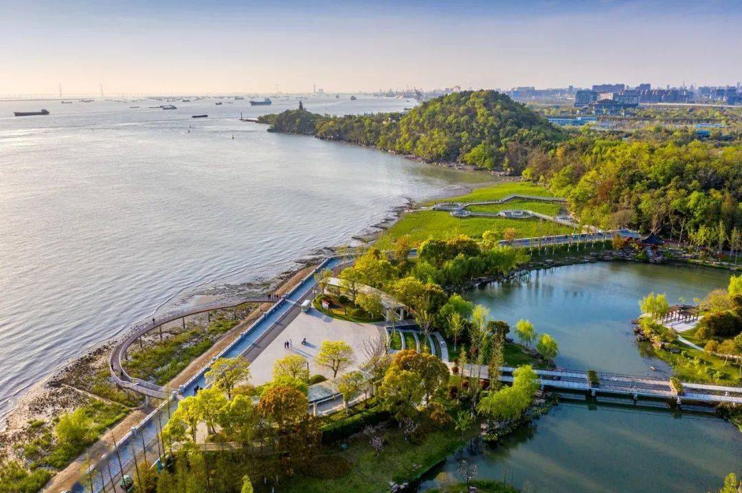 南通这条最美森林步道在省里出名了