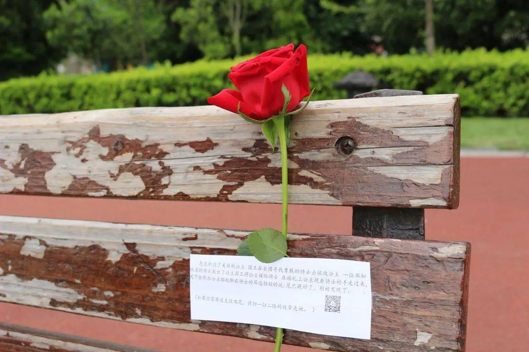 浪漫!株洲高校也有"应急玫瑰"了