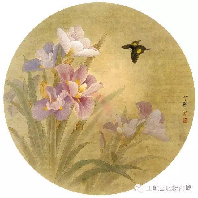 周中耀工笔花鸟小品40幅美轮美奂张张精彩