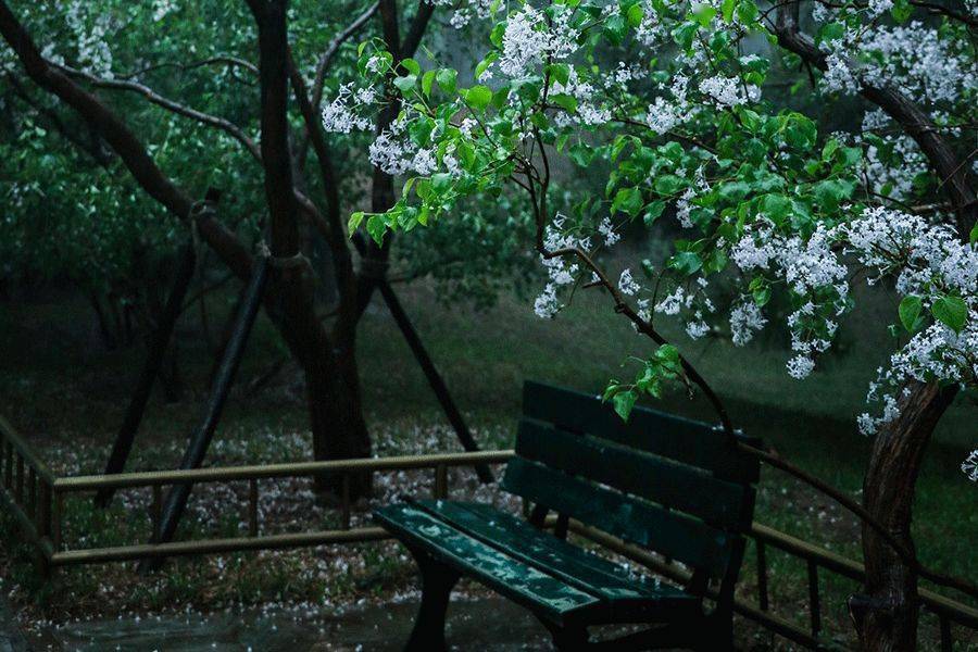 在中国每一场雨都有自己的名字