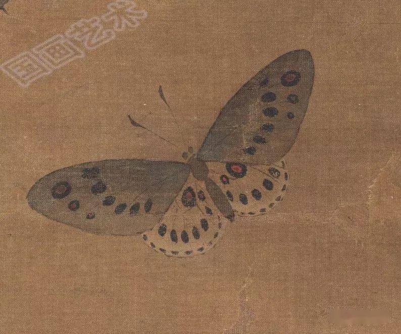 翩翩蝴蝶入画中古代篇