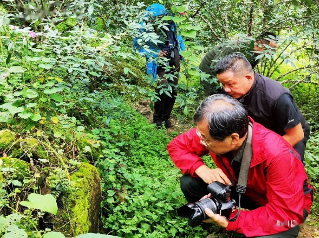 中国红军长征史专家陈宇实地考察转载自西康周末编辑:郑从伟审稿:程普