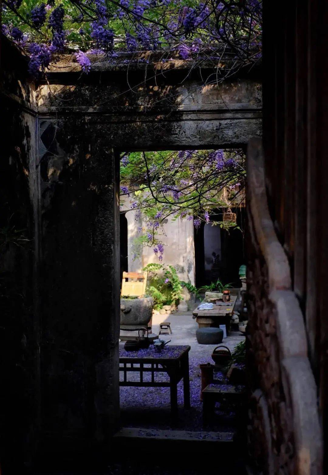 坐看庭前 花开花落 庭院