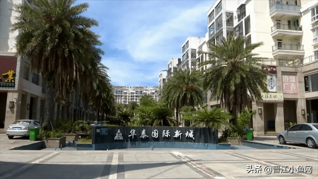 赞晋江华泰社区这些老人