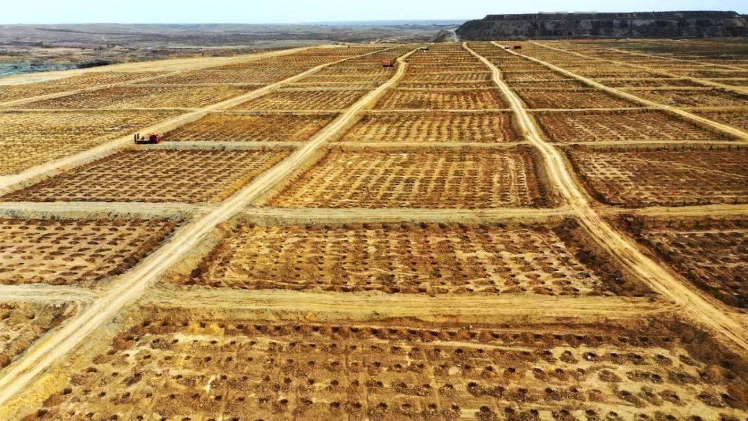 达拉特旗:加快绿色矿山建设 重塑美丽生态底色_复垦