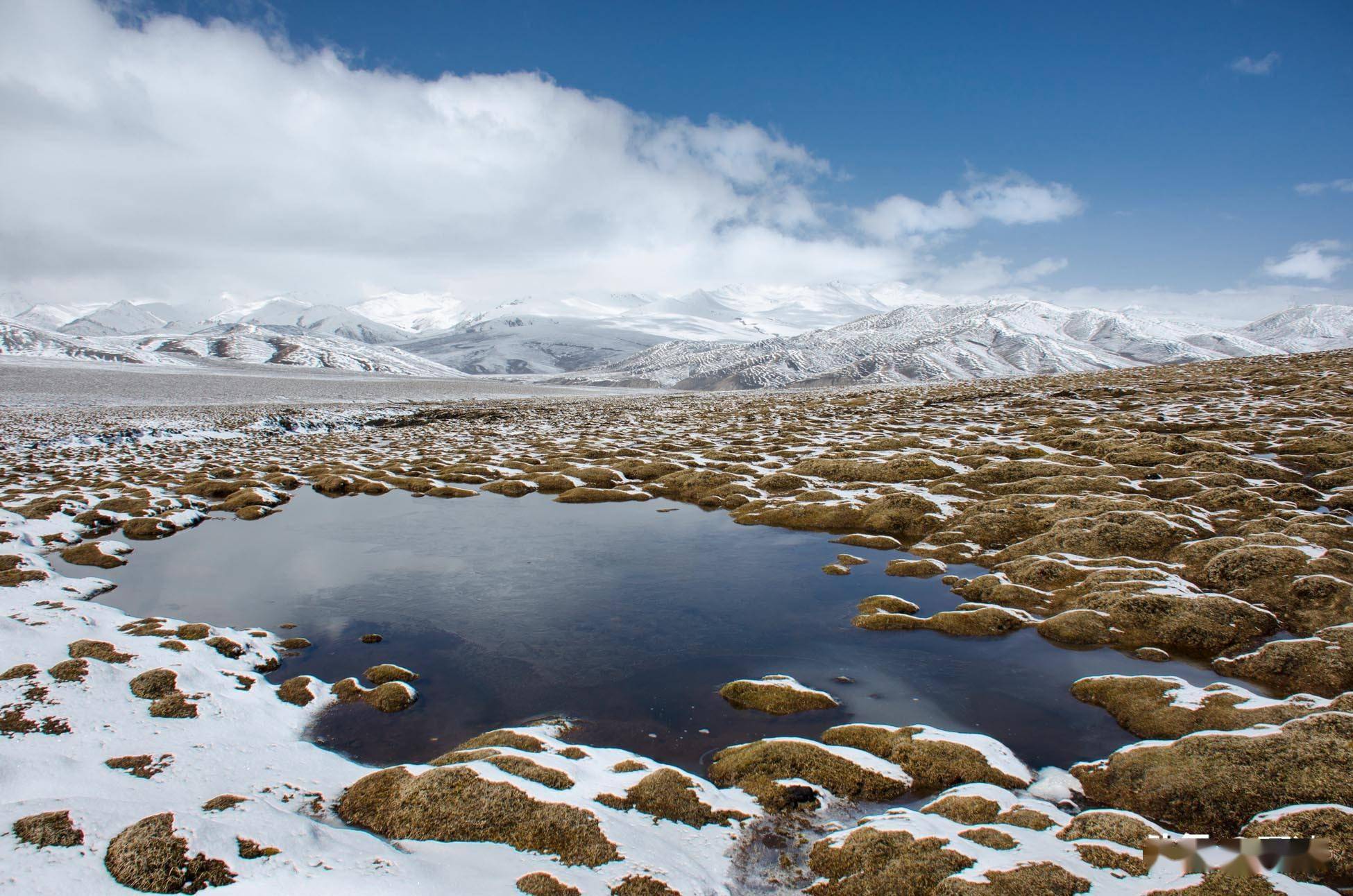 高原散记漫步雪山云端