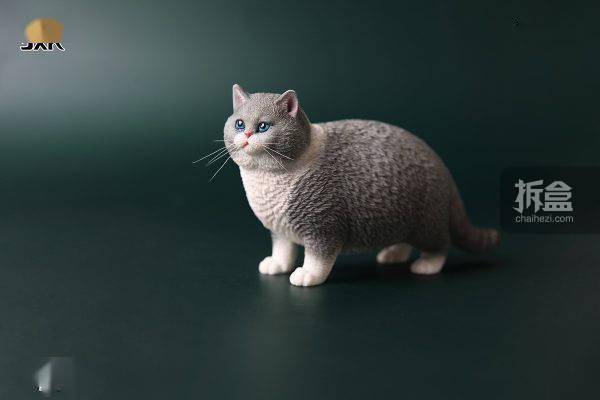 jxk.studio 1/6 肥猫系列 猫咪动物仿真模型 迷你gk摆件