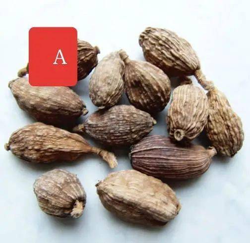 4-6月是罂粟花盛开的季节,它虽然长相艳丽,却是提炼鸦片等毒品的原料