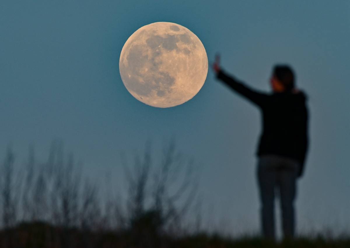 夜空|“超级粉红月亮”在世界多地惊艳登场