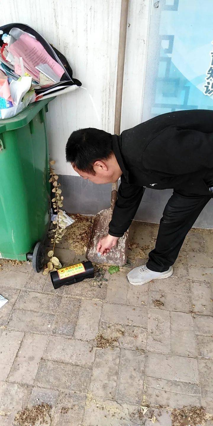 北鱼全面开展灭鼠行动_工作