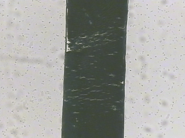 32280cf33d6941b69a5b2ef80339c06a.png