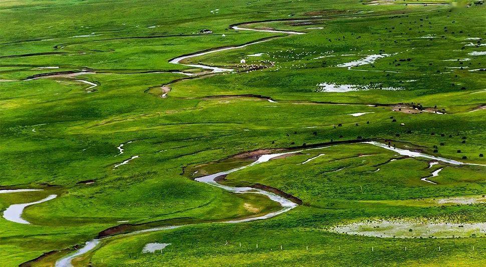 (参团福利与优惠政策不冲突) 往 期 作 品 《阿万仓黄河湿地》 《牧》