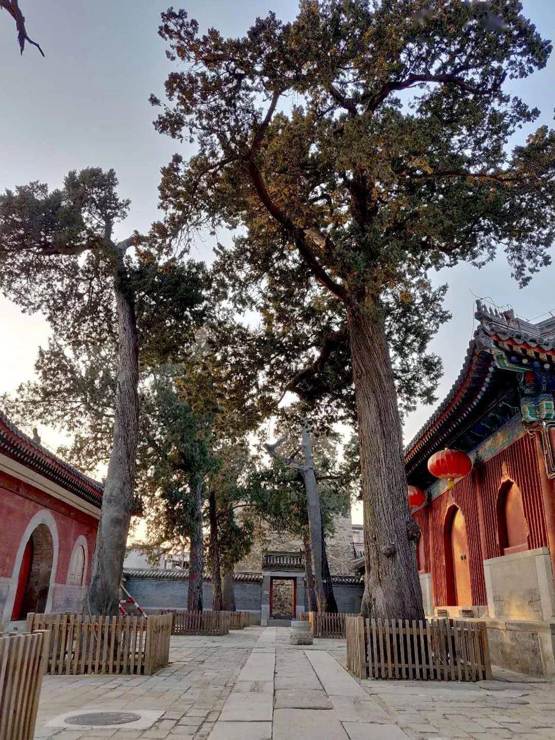 北京承恩寺图片