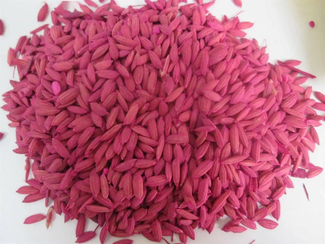 为情所困,株洲一小伙服老鼠药自杀,好在