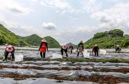 黔西县各乡镇gdp_黔西县10个乡镇应急救援分队暨政府专职消防队正式组建成立(2)