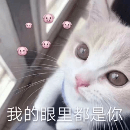 e885b385fd1d413fb13b49cf3df56273.png