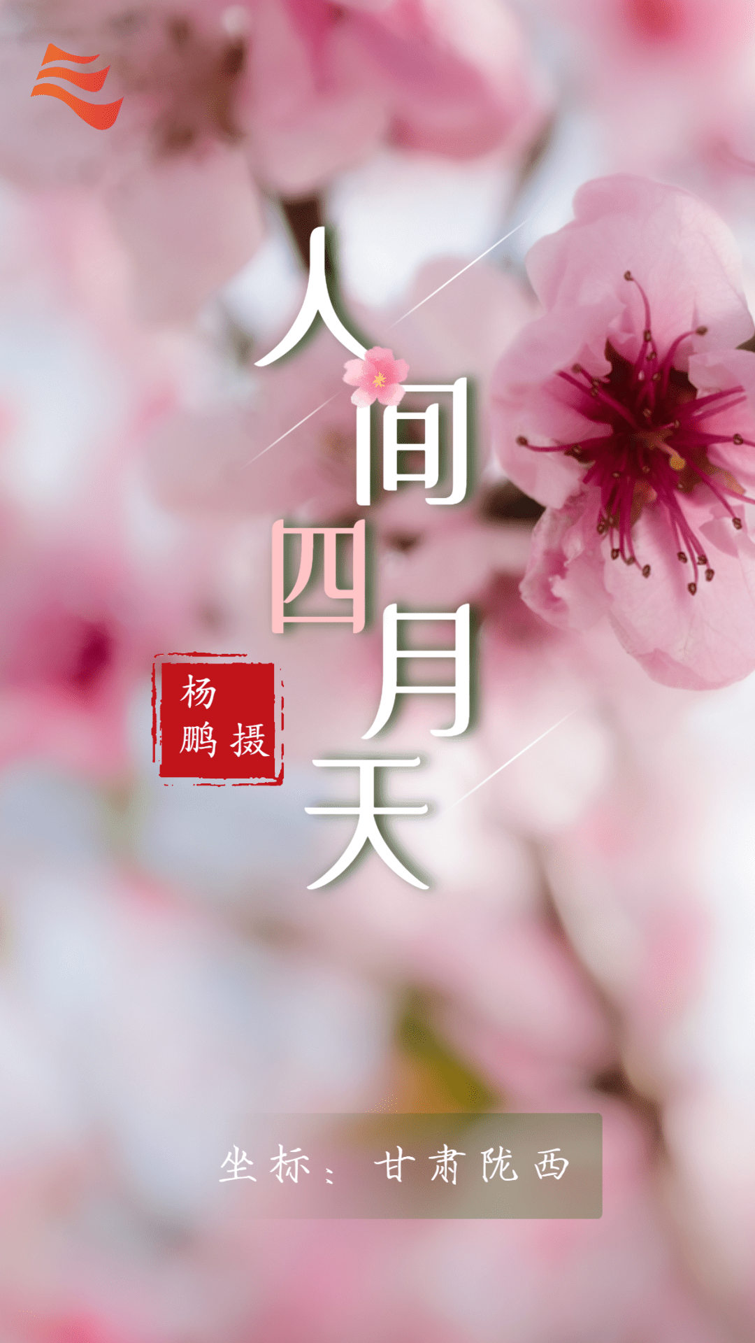 再见了!人间最美四月天