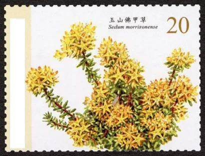 台湾特709 高山植物邮票 第1辑 6月30日发行 面值