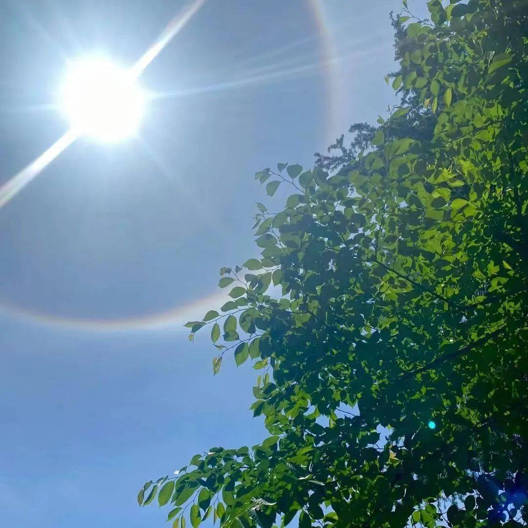 今天惠州的太阳刷屏啦!