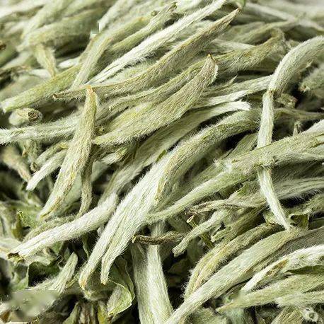 杯中之余馨美誉中外浮沉之间,展人生百态永新白茶优惠—— 进入"永新