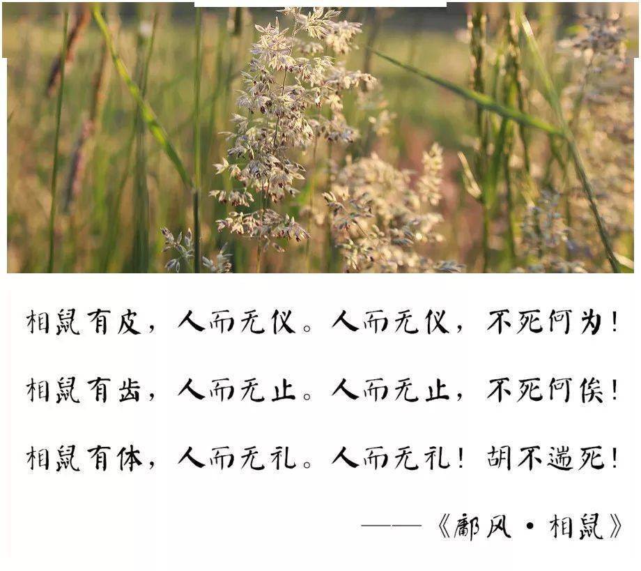 史上骂人最毒的五首古诗 无不惊叹 赏析