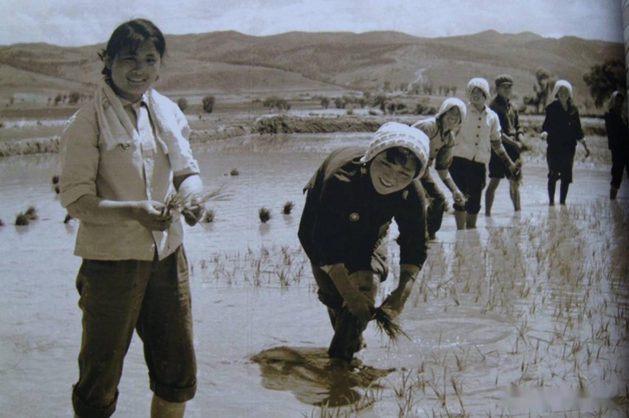 资料图片,上海知青在延边那年插秧前,孟队长带领社员们到小青江上游