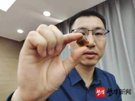 琥珀|南京专家发现最丰富琥珀生物群