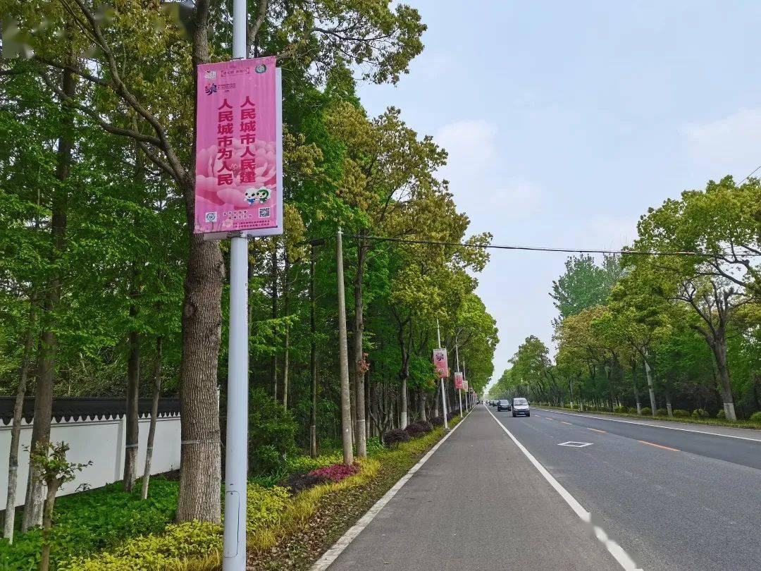 你好花博遇见崇明这个镇的花开中国梦