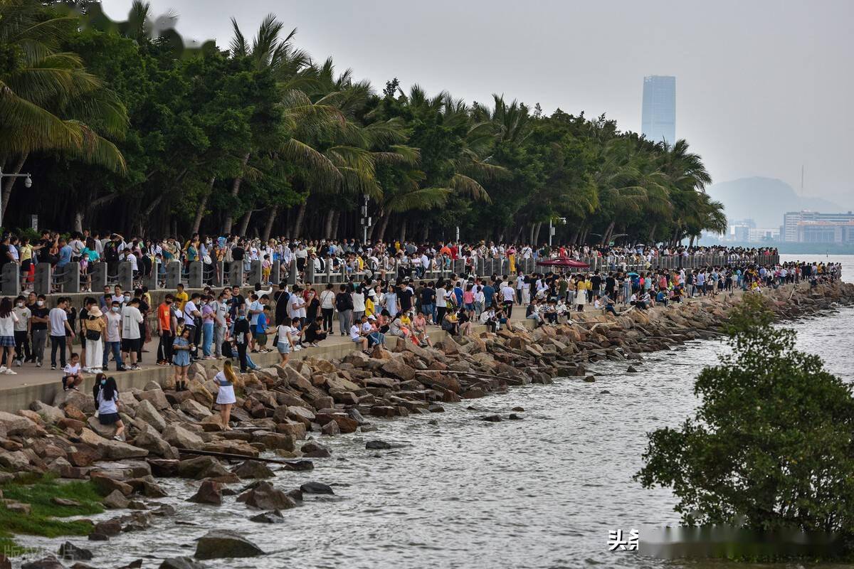 五一黄金周第二日深圳湾公园人山人海进出地铁站排长队