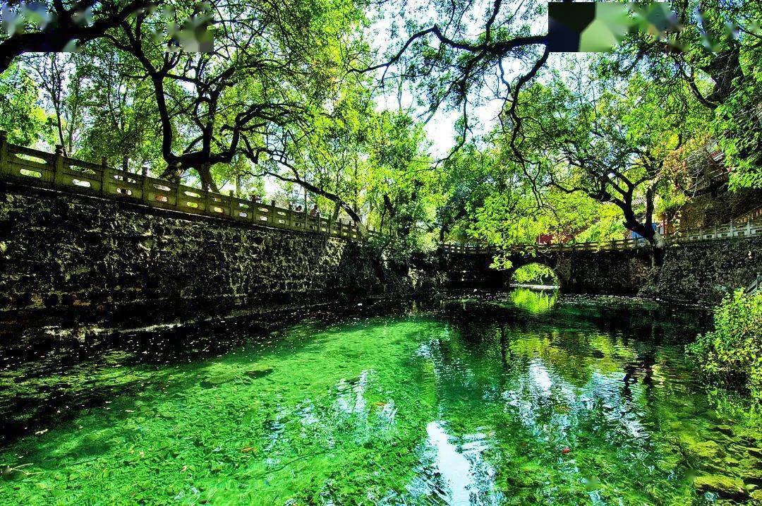 五一来玉溪来红塔区享受散漫时光的n种方式