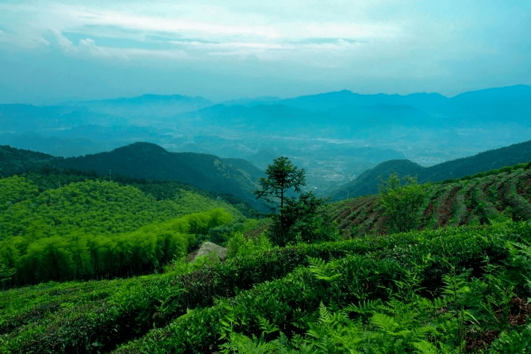 我们在湖州等你回家找一场邂逅吧