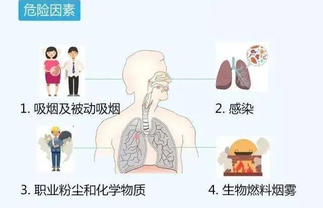 323健康科普慢性呼吸系统疾病基本知识