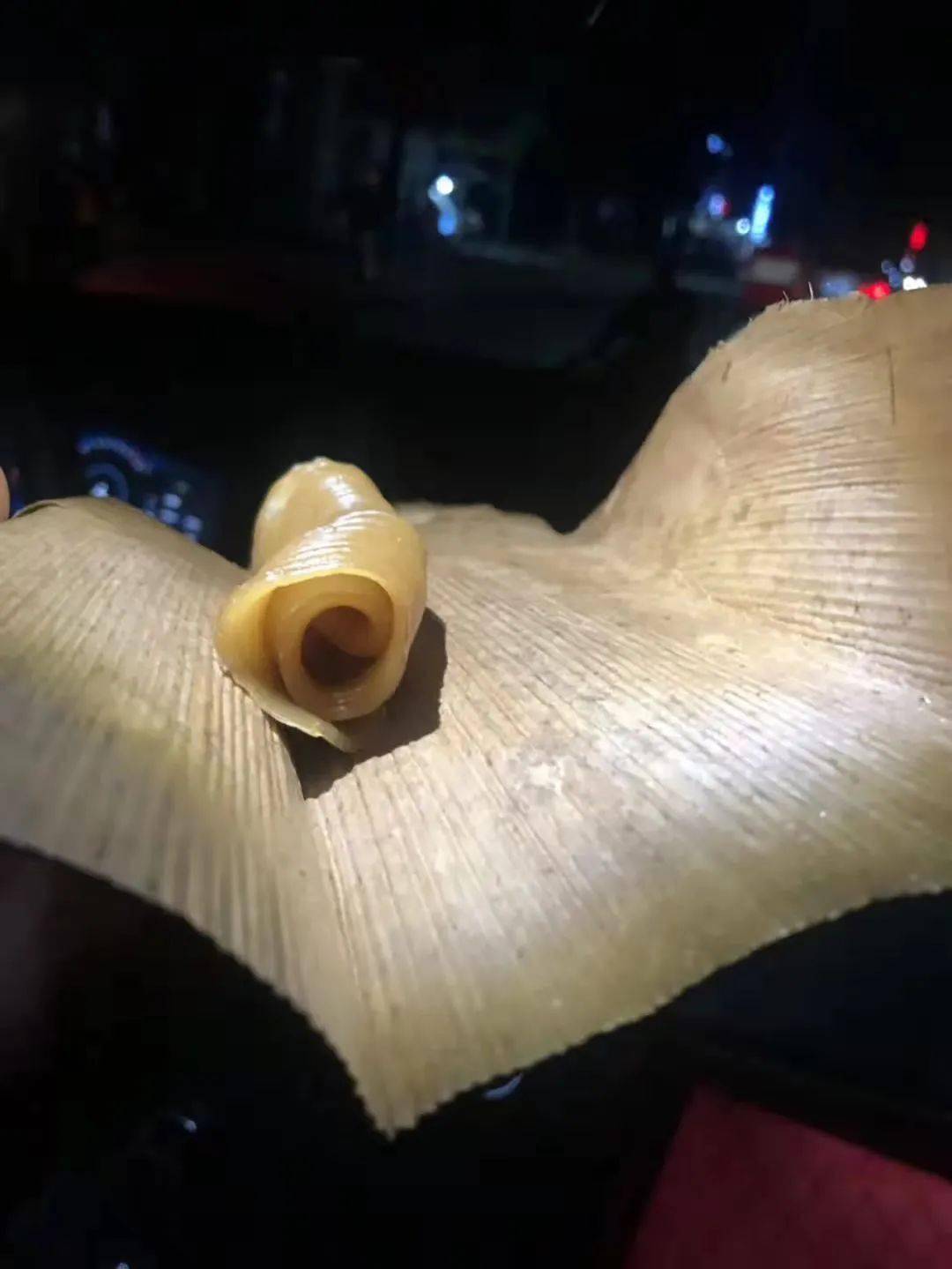 北海的骄傲竹壳籺沙蟹汁合浦大月饼获奖了