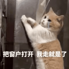 8a21eb65d59e4376a74342f0275ce78f.png
