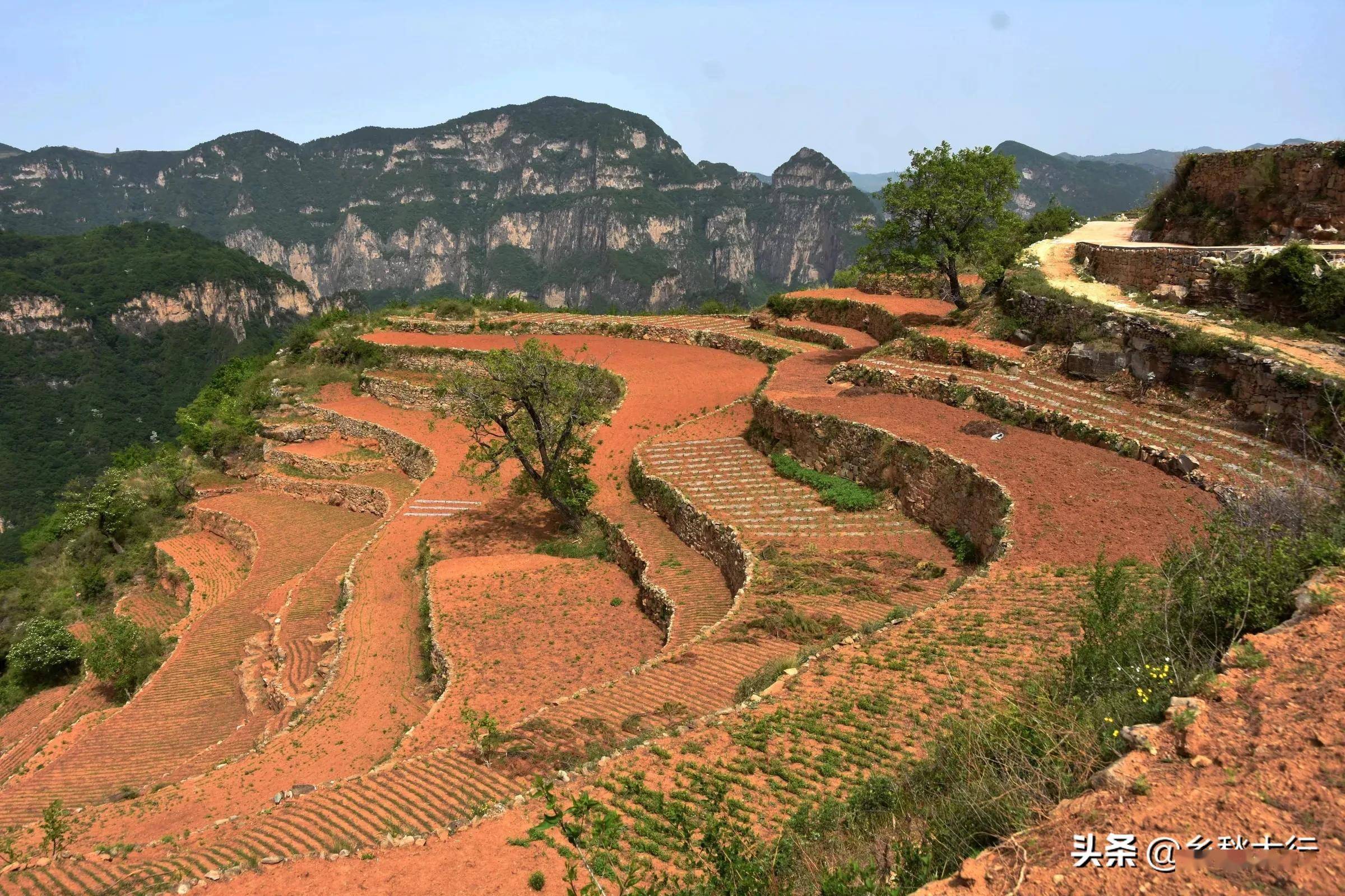 太行春天之乡村梯田三