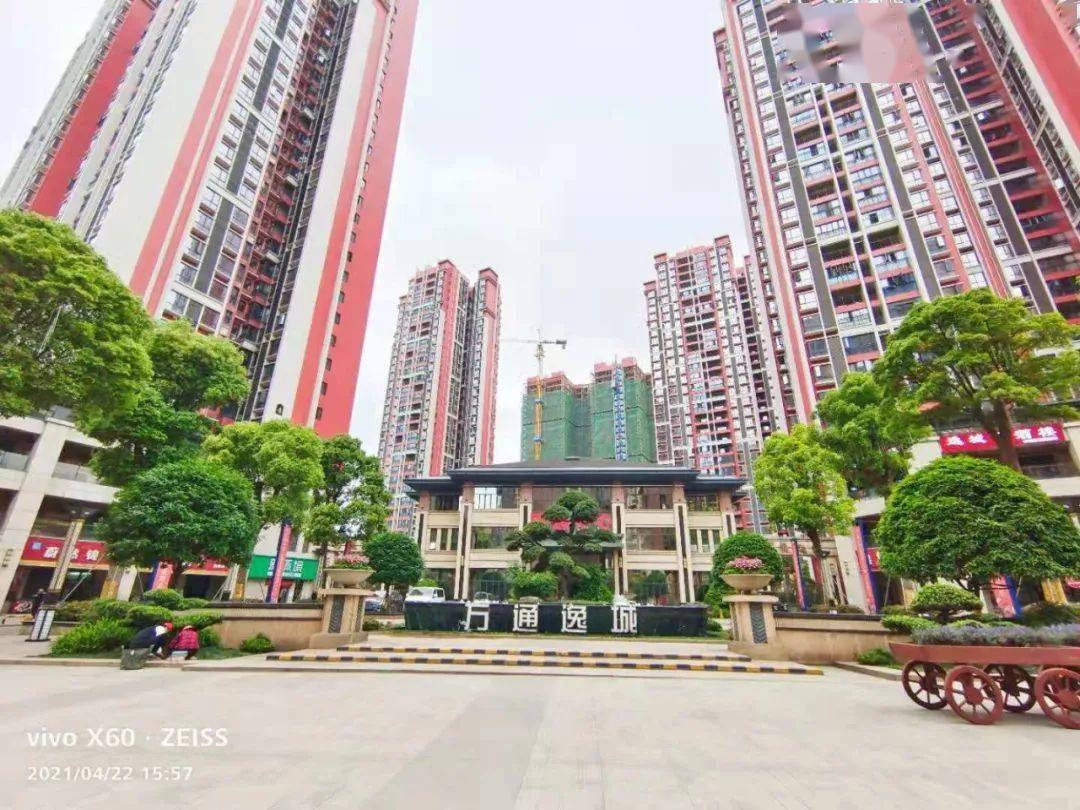 万通逸城:最美四月天|摄影绘画大赛获奖名单