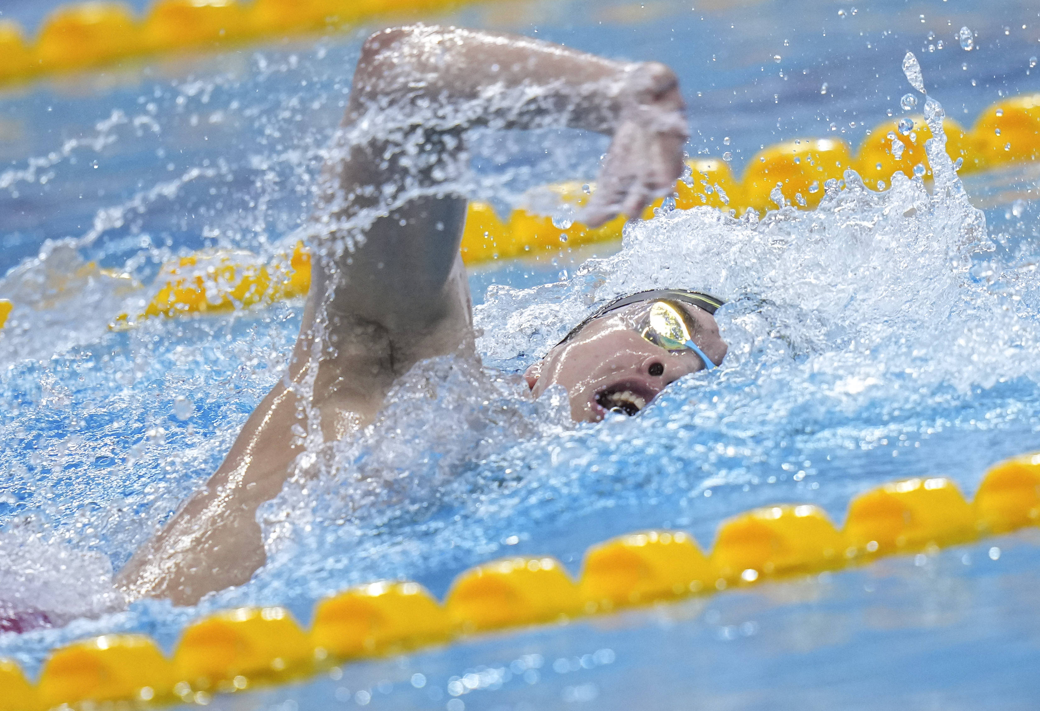 游泳——全国冠军赛:程龙获男子800米自由泳冠军