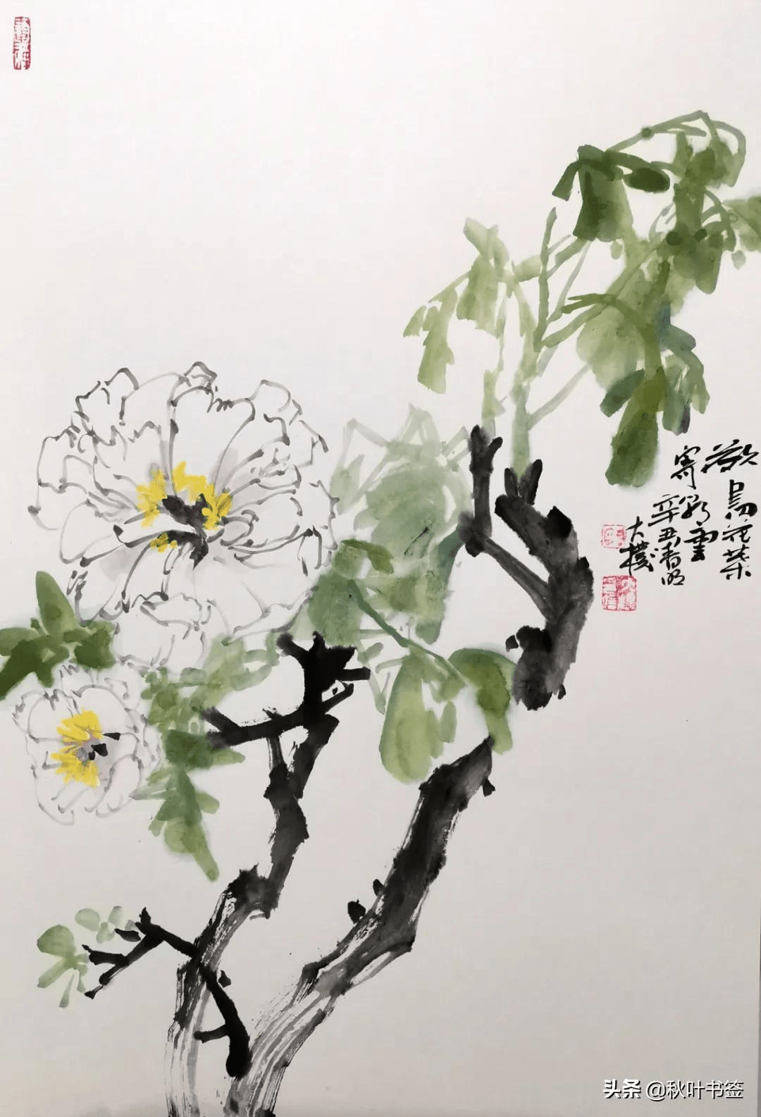 硕果满枝好个秋》中国画李金友《春花烂漫》中国画·随机排序·画赵雷