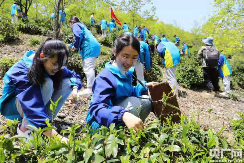 淳安中学学生唐维海加入中国共产主义青年团已有一年时间,他对这"两堂