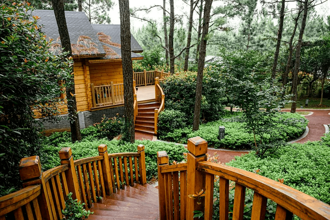 景区内的网红民宿云栖林舍,隐匿与松林之间,宛若藏于雨发生态旅游区